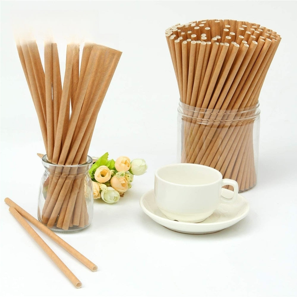 AllTheStraws Eco-Friendly Paper Drinking Straws