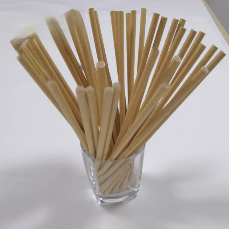 AllTheStraws Eco-Friendly Paper Drinking Straws